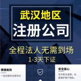 武汉青山代办公司营业执照与工商注册代理服务全解析